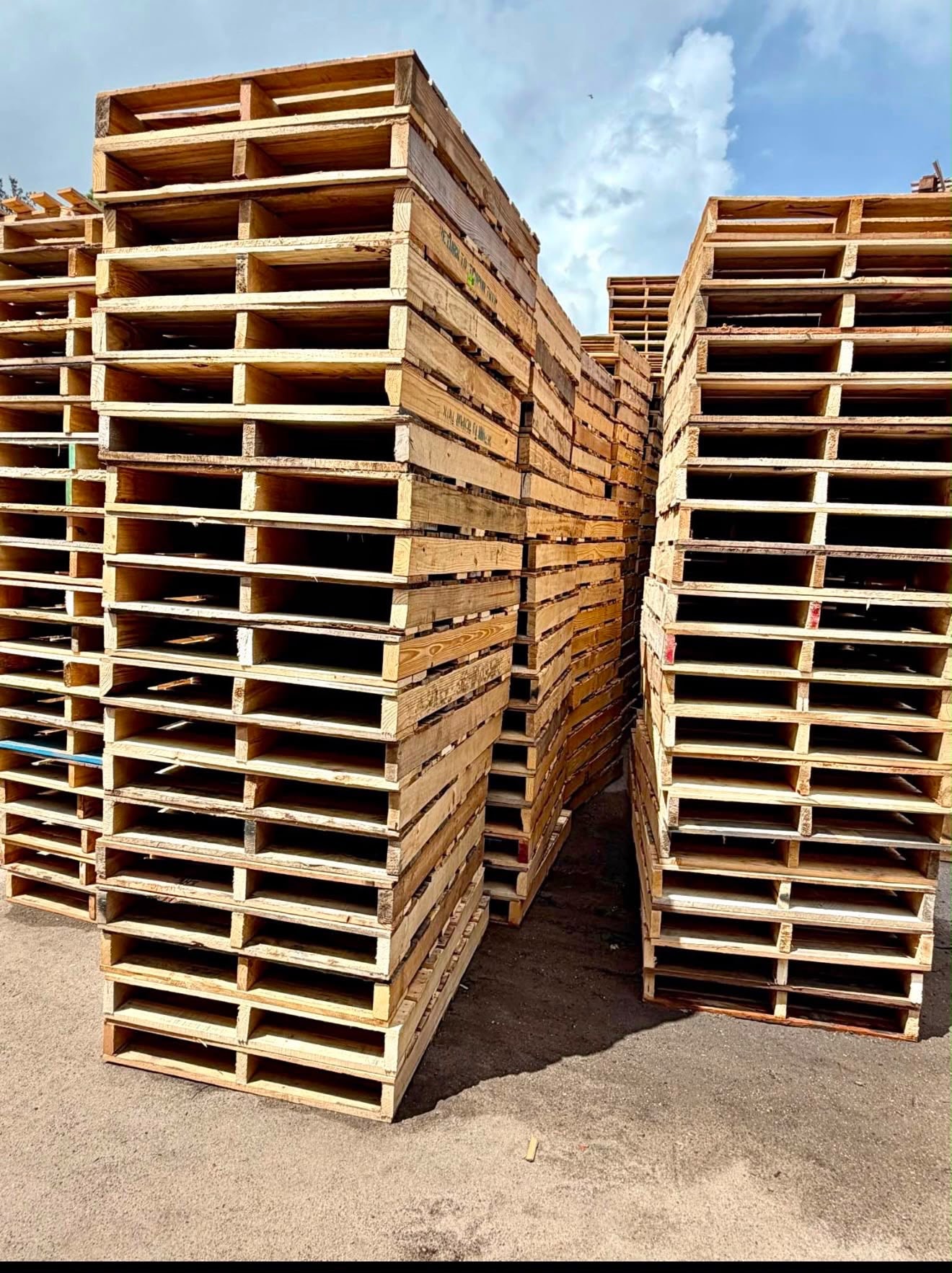 Large stacks of wooden pallets outdoors