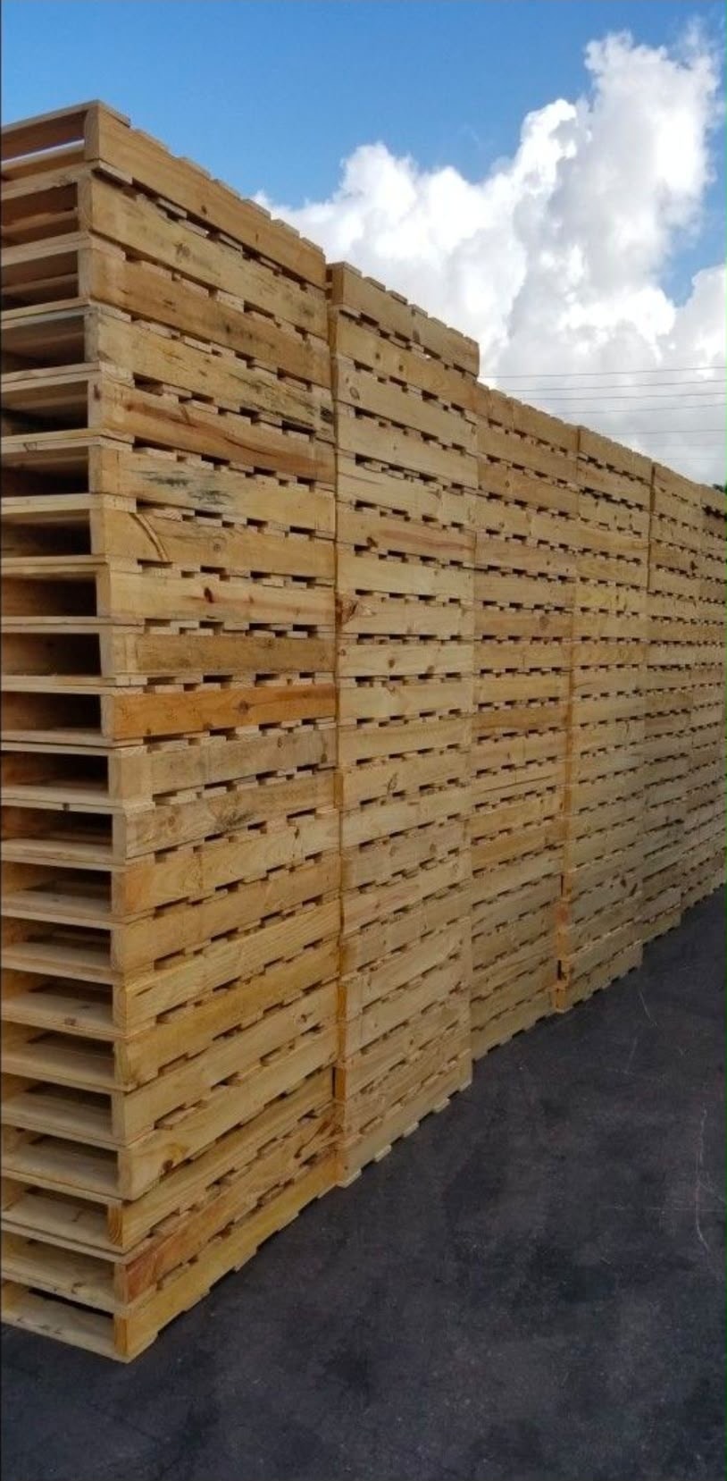 Rows of new wooden pallets stacked high